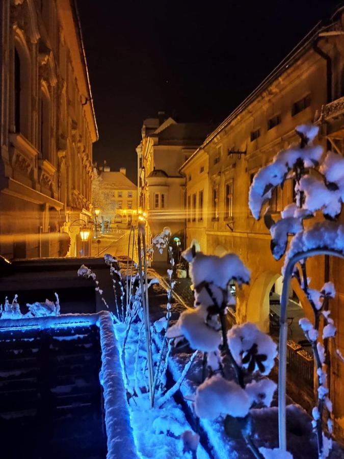 Apartament Podcienie Z Tarasem Bielsko-Biala Old Town 外观 照片